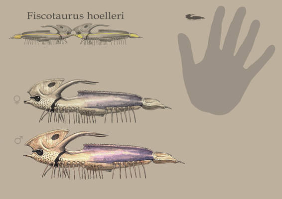 Fiscotaurus