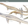 Natrixosauridae - sea serpents of the world