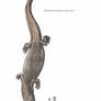 Stomatosuchus