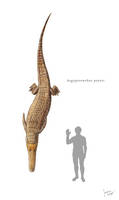 Aegyptosuchus