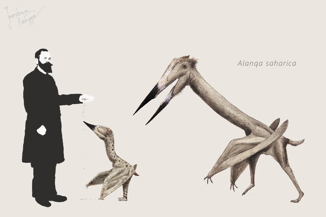 Alanqa by Hyrotrioskjan