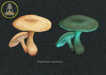 Dryad mushroom