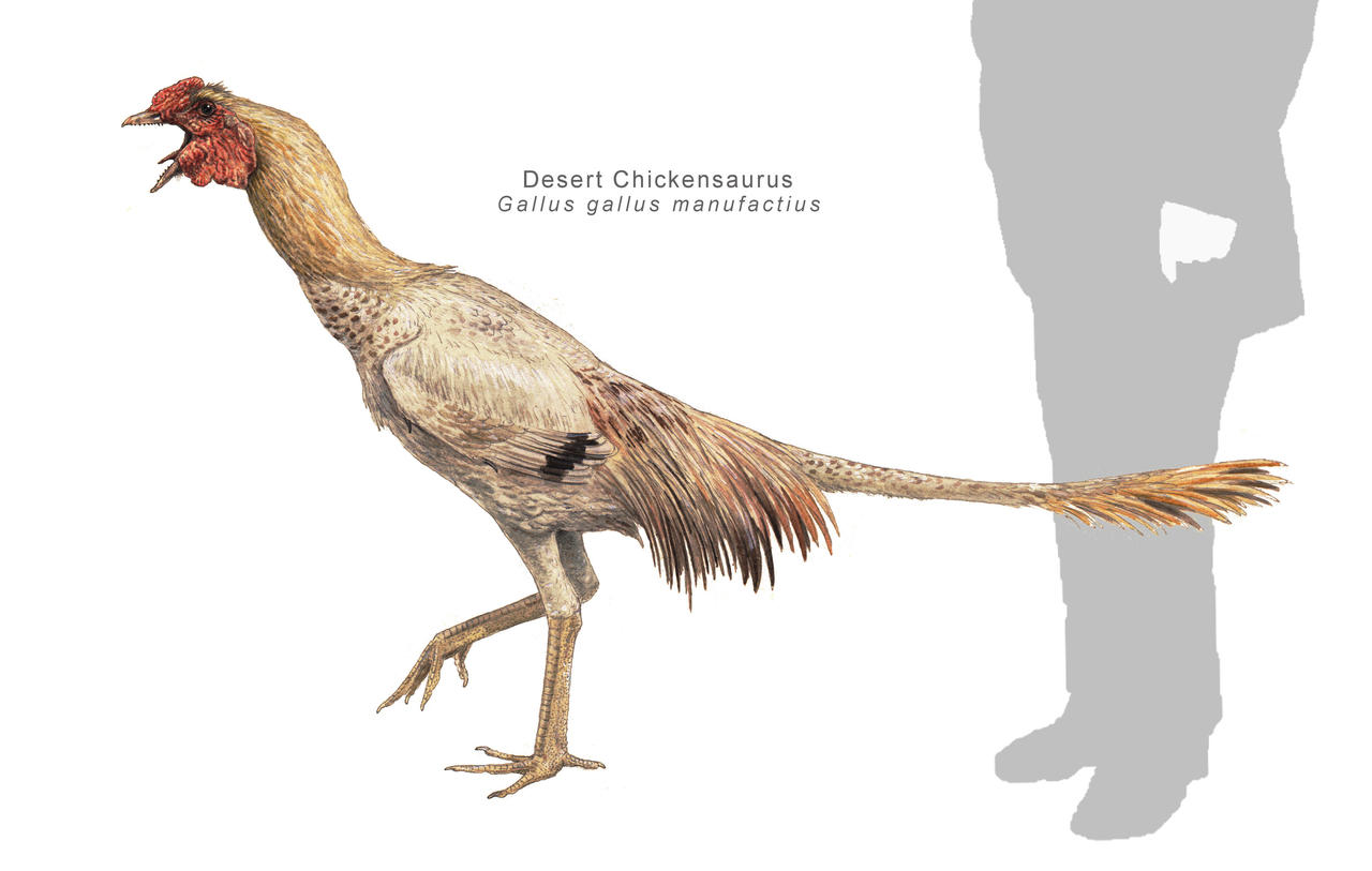 Desert Chickensaur