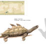 Hubur turtle