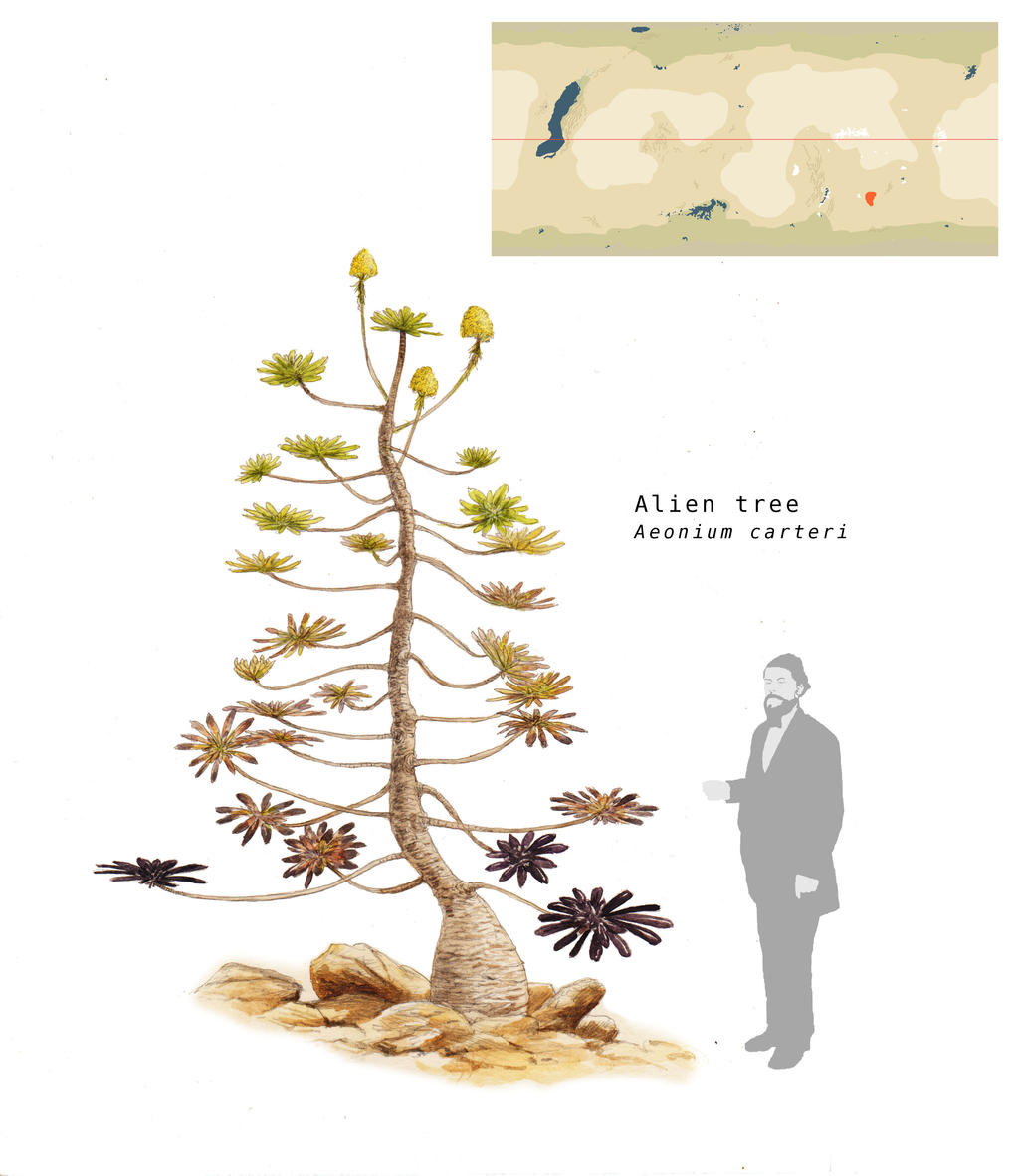 Alien tree by Hyrotrioskjan on DeviantArt