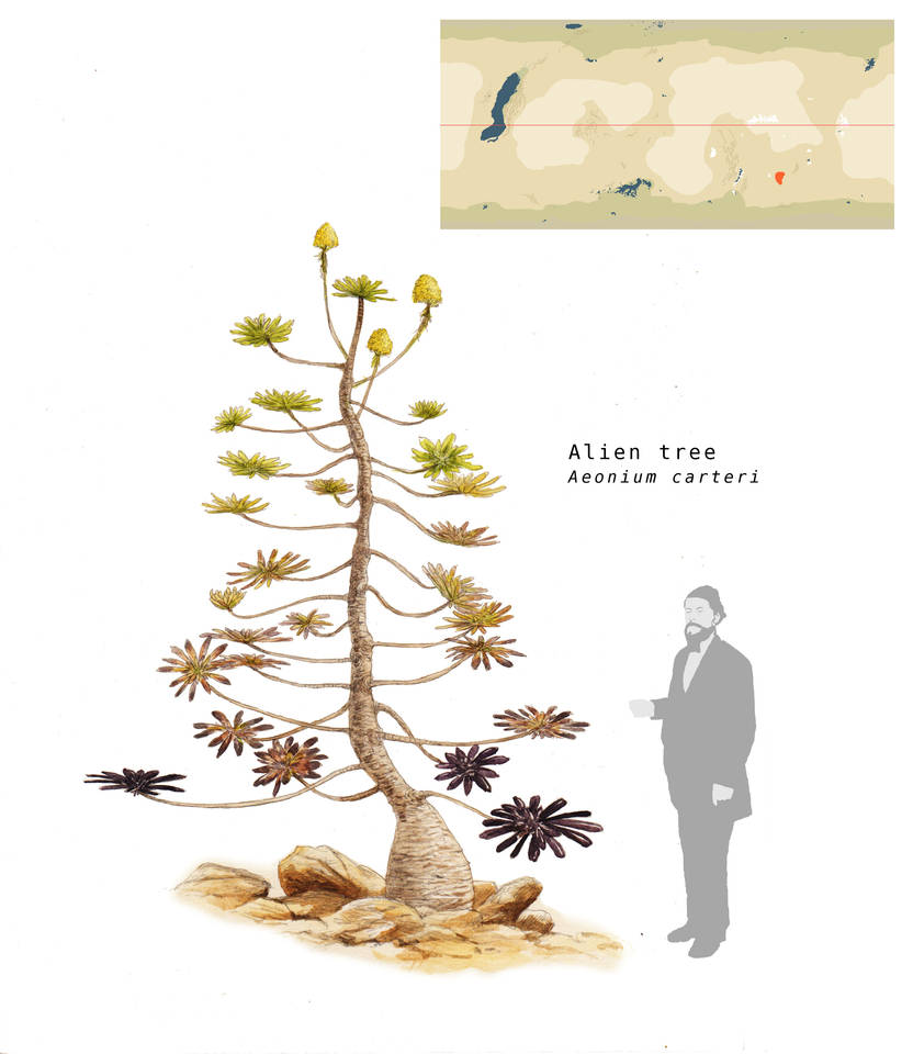 Alien tree by Hyrotrioskjan on DeviantArt