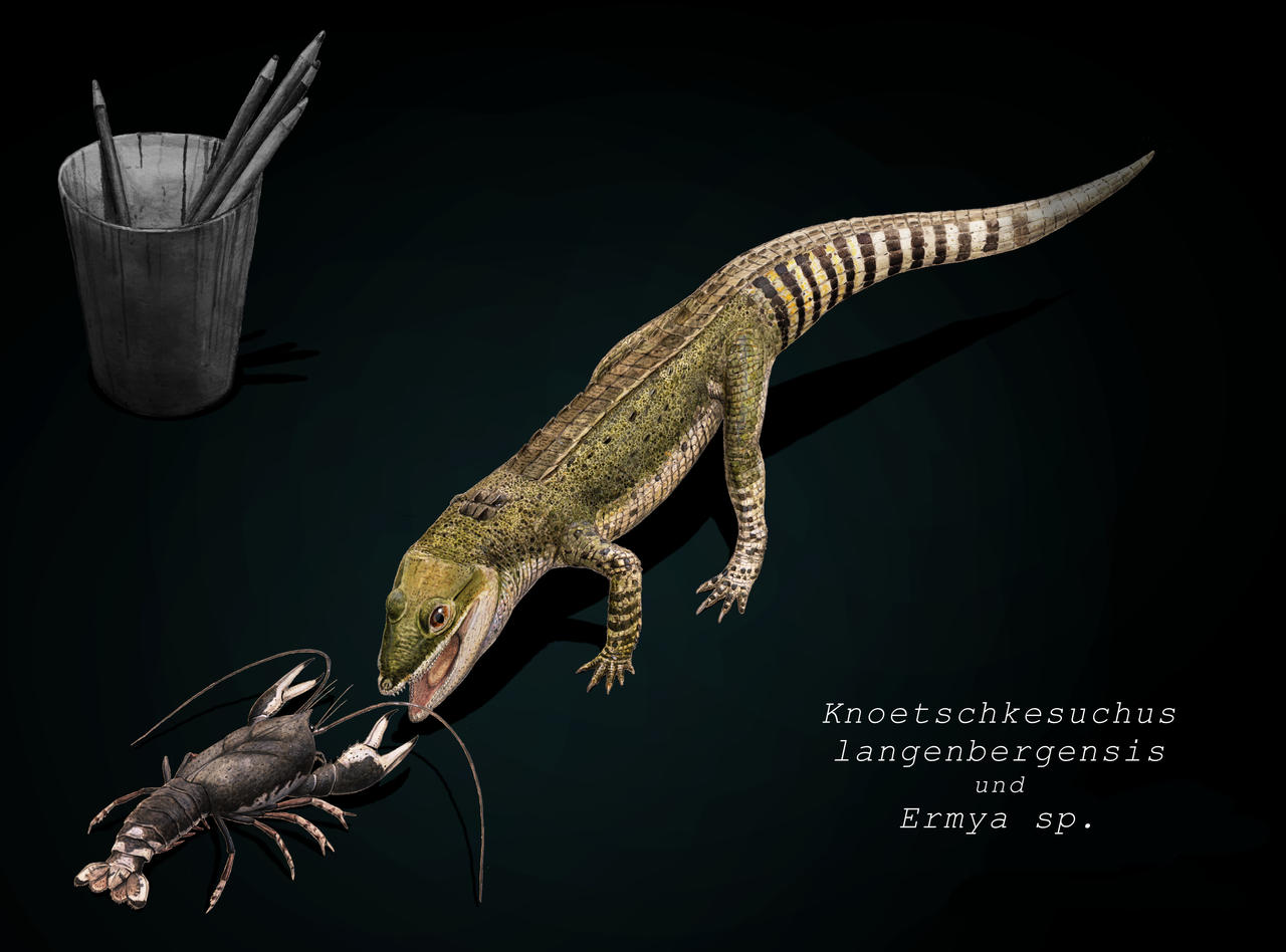 Knoetschkesuchus