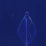 Tenaxoruta