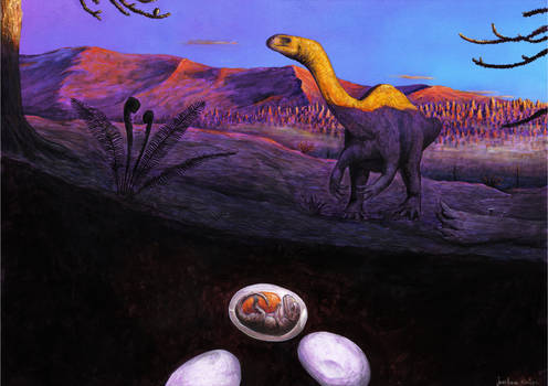 Lufengosaurus eggs