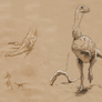 Vespersaurus sketches