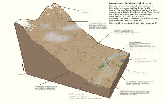 Bromacker Habitat