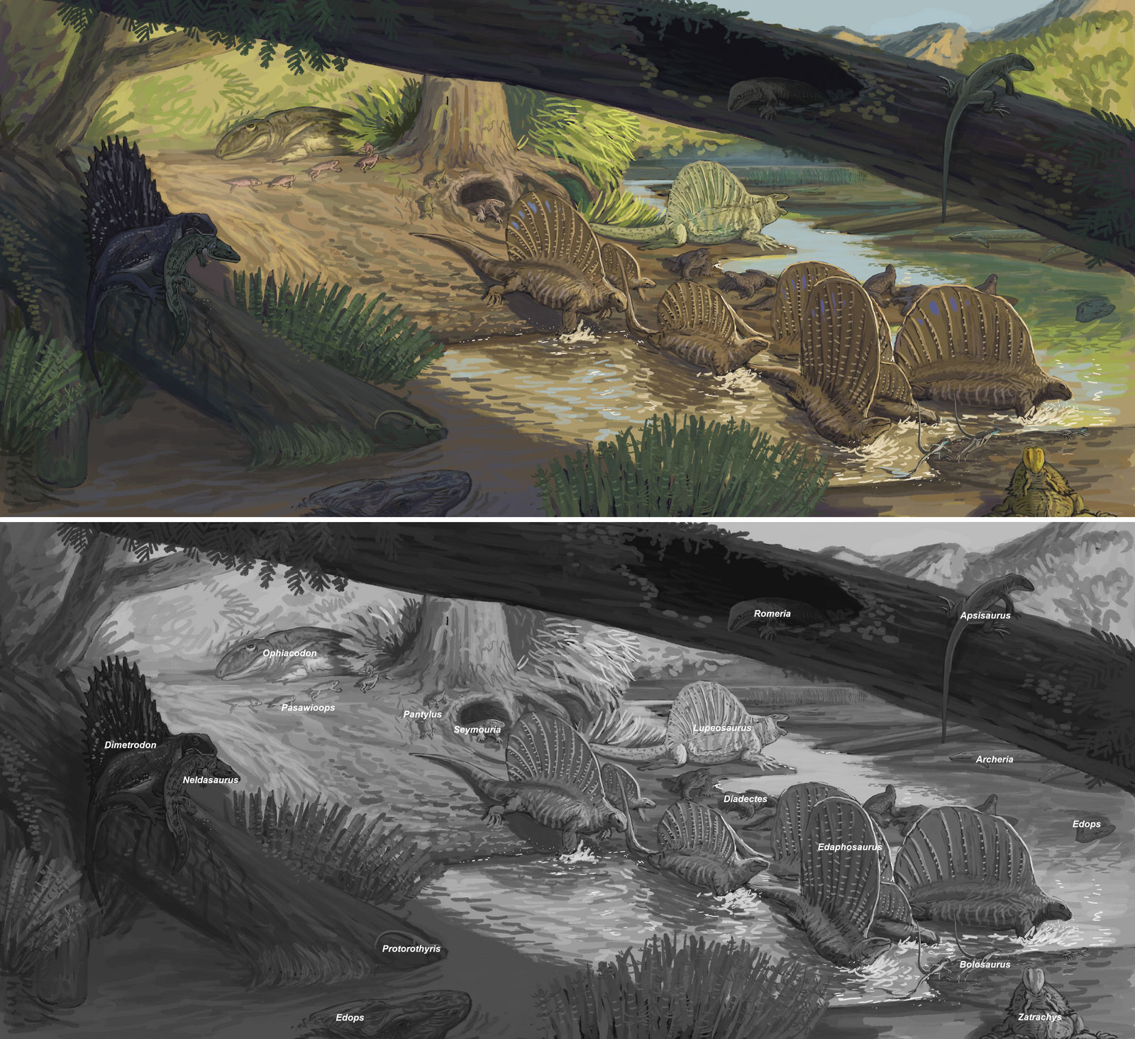 Archer City formation by Hyrotrioskjan on DeviantArt