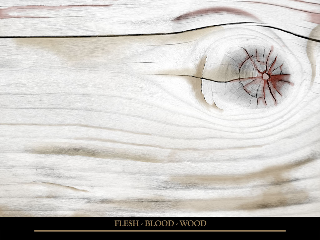 Flesh - Blood - Wood