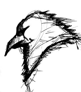 Bird Profile - I