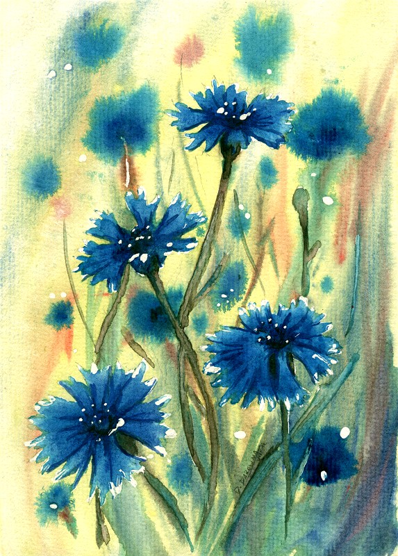 Cornflowers