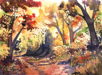 Autumn Path by doma22
