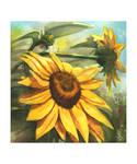 Sunflowers by doma22 Sunflowers by doma22
