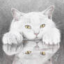 White Kitty