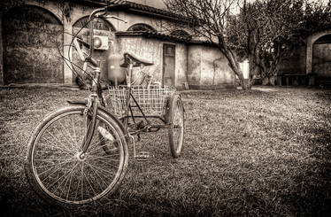 Old Bicycle