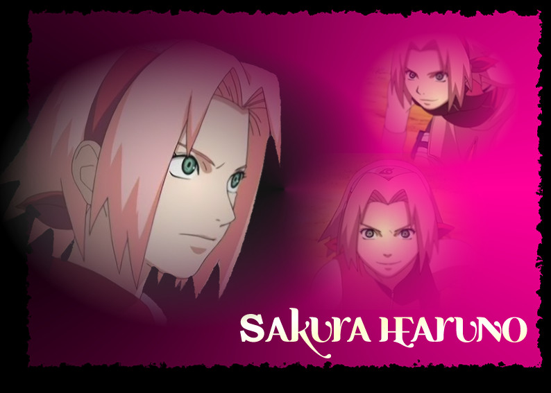 Sakura Shippuuden Pink Destiny