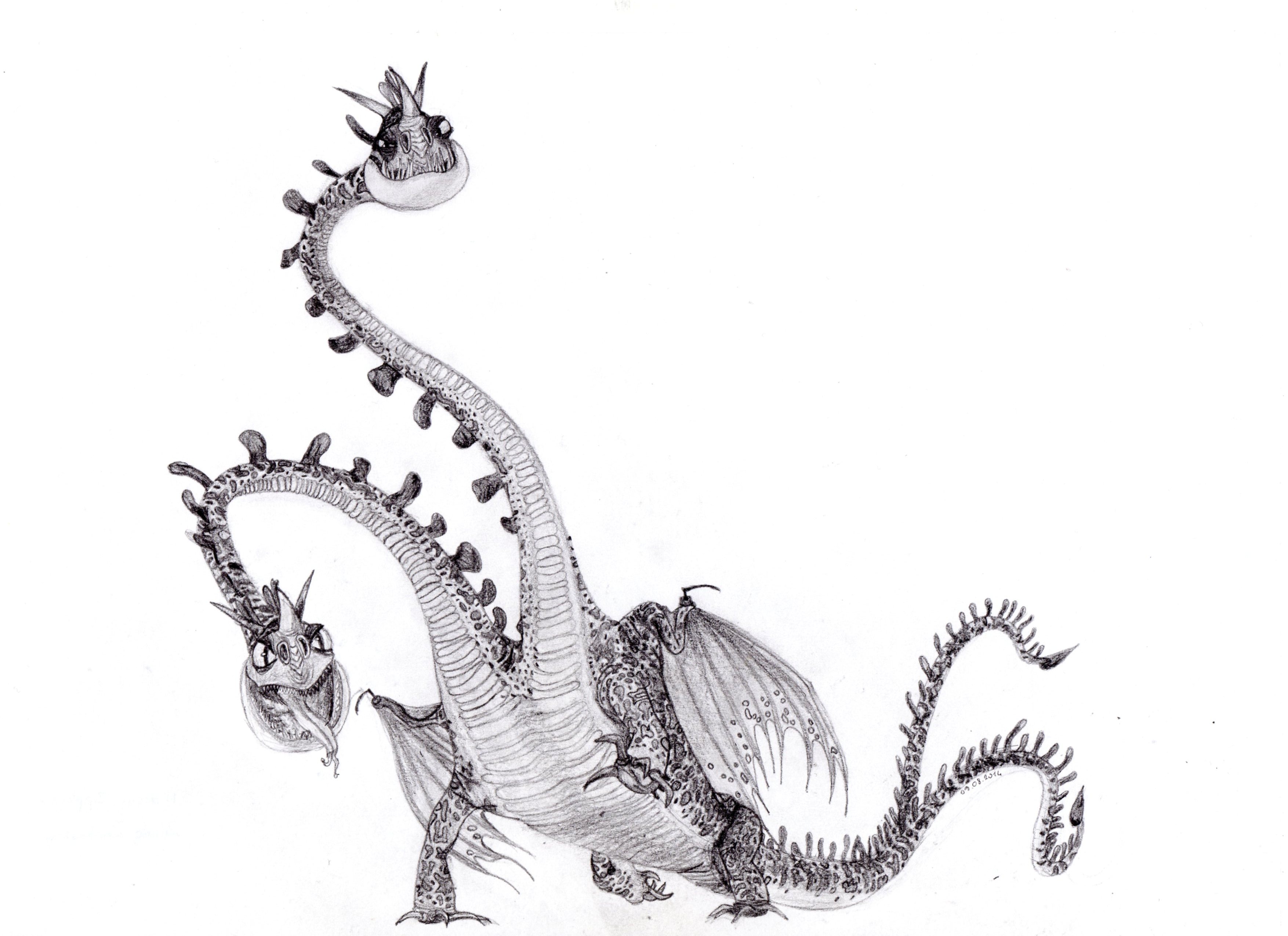 How To Draw A Zippleback From How To Train Your Dragon at Bobby Haley blog