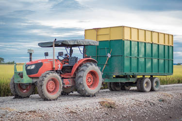 Tractor towing a rice trailer