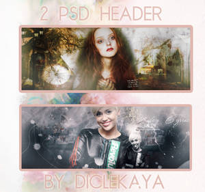 2 Psd Header