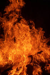 FIRE STOCK by TeapotMysteries