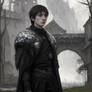 Bran Stark 