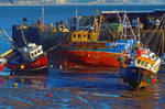 HARBOUR COLOURS by TADBEER