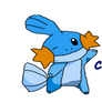 Mudkip Request for daintybird