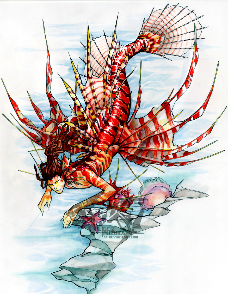 The Lionfish