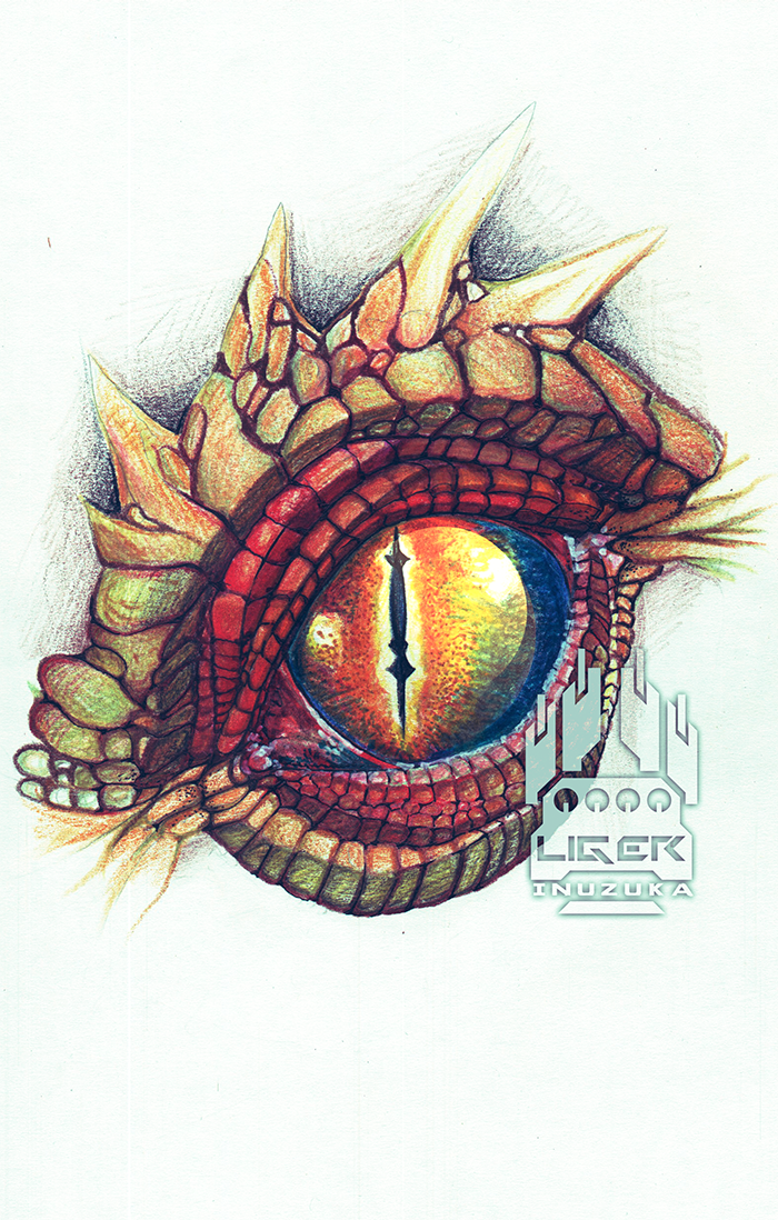 Color Pencil Dragon Eye by LigerInuzuka on DeviantArt
