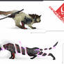 Desperado Felines