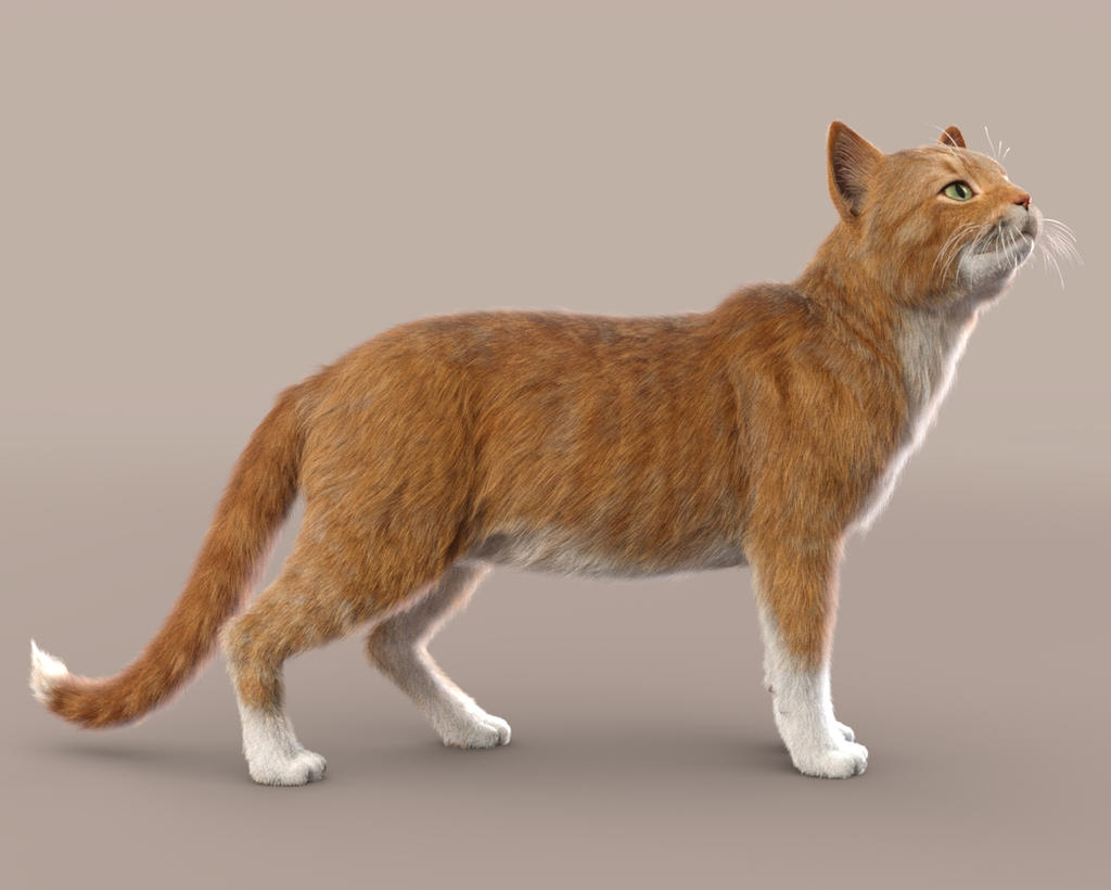 LAMH Preset for the Hivewire3D House Cat (Short) by Vampyric-Saiyaness