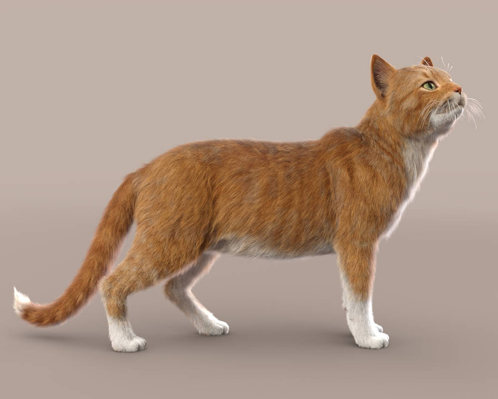 LAMH Preset for the Hivewire3D House Cat (Short) by Vampyric-Saiyaness