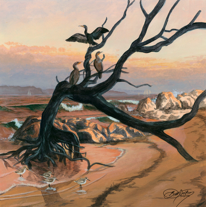 Cormorant Mural Concept II by Damalia