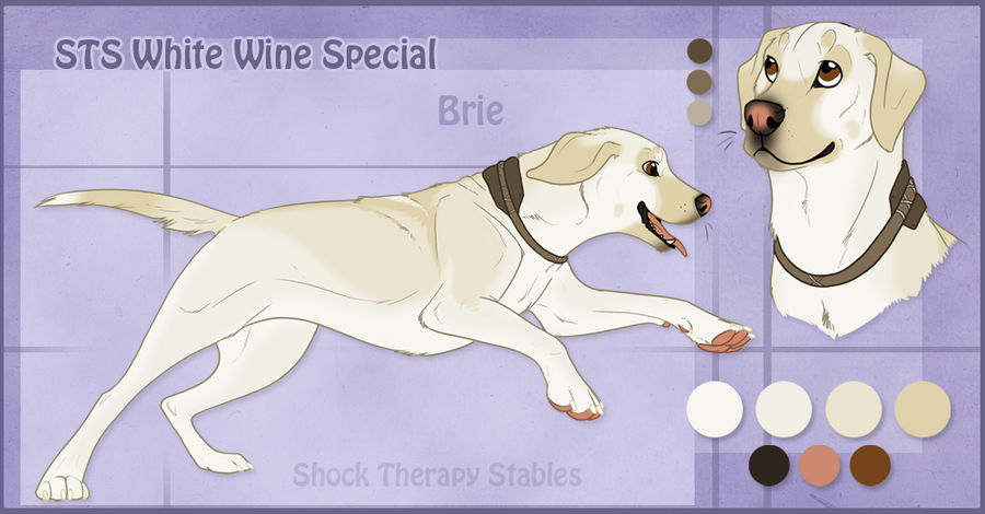 STS Dog - Brie RETIRED