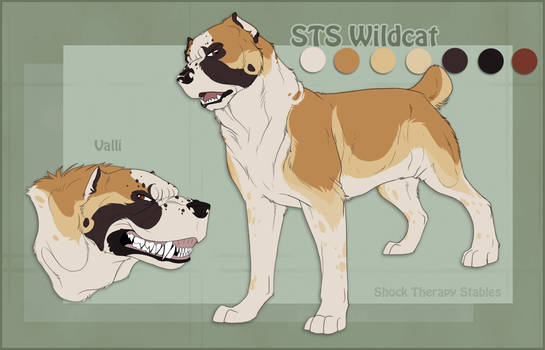 STS Dog- Valli