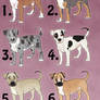 Pitbull Adoptables 5- CLOSED