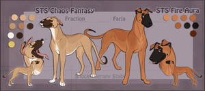 STS Dogs- Farja and Fraction