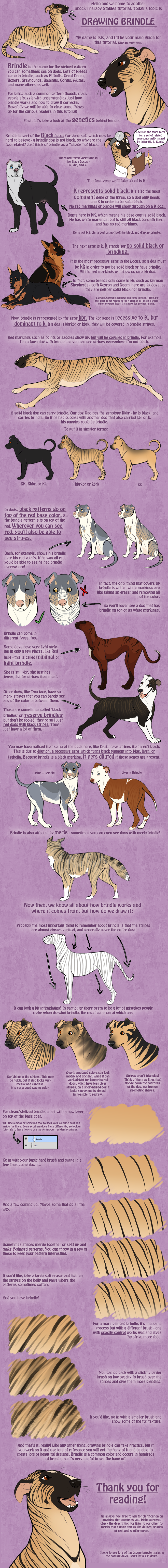 Tutorial - Brindle in Dogs