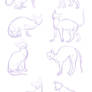 cat sketches-anatomy practice