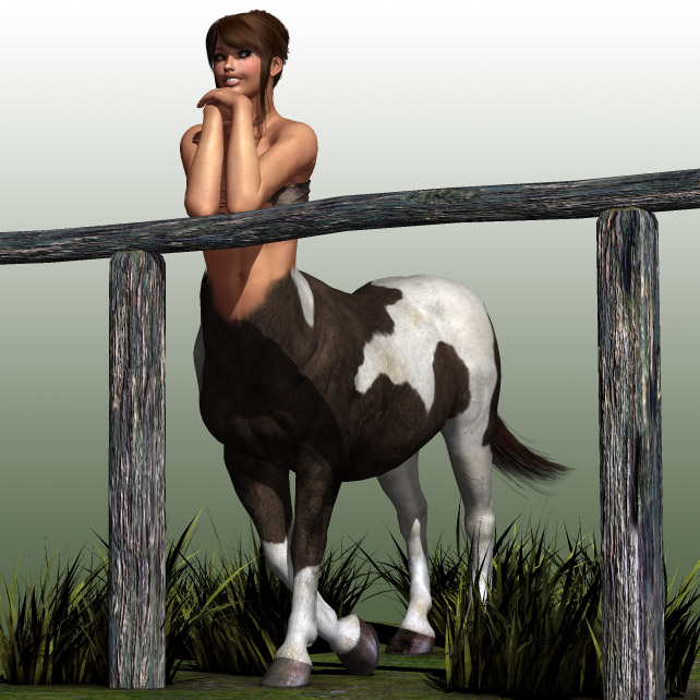 Pony centaur