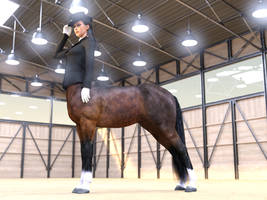 Dressage show off