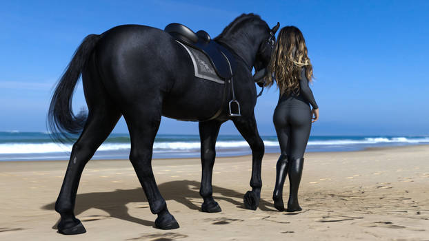 Gorgeous Girl with Black Horse