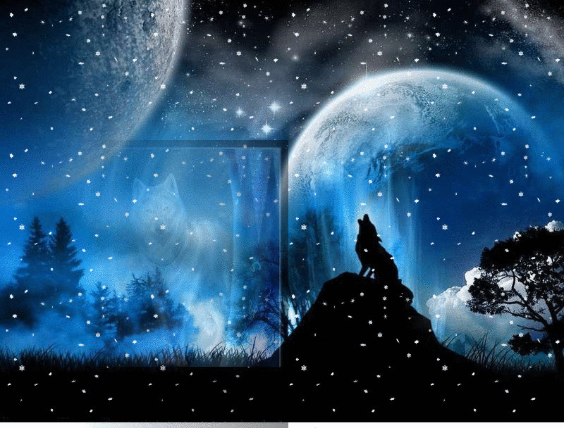 Wolf Banner by Seminar-Reicher on DeviantArt