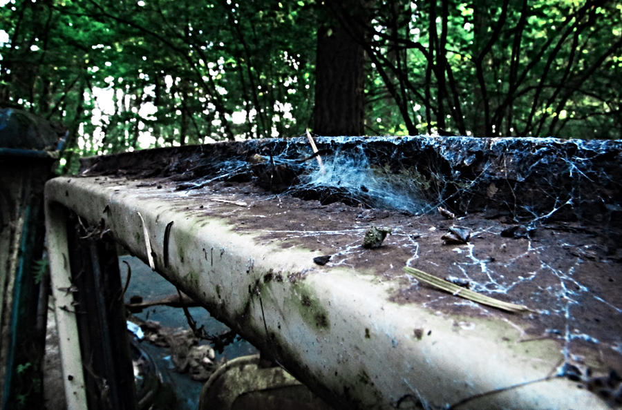 Infested by Medrone on DeviantArt