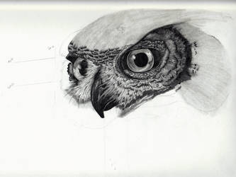 :WIP: Eagle Owl