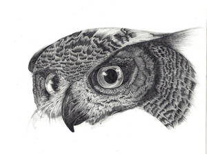 Eagle Owl WIP 2